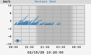 Wind Vector