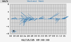 Wind Vector