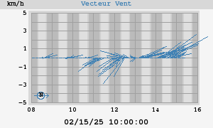 Wind Vector