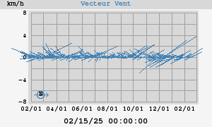 Wind Vector